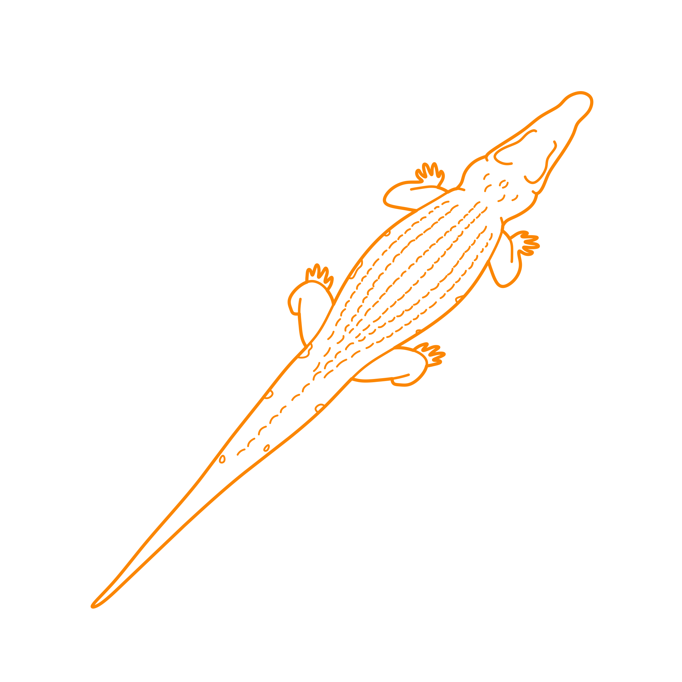 Animals Crocodilians Mugger Crocodile Sketch Style Svg Vector Free Vectors